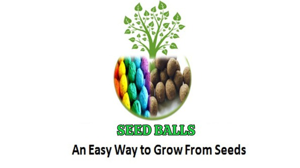 mymgnaturals.in