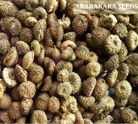 How one can study simple Science using seed balls ?