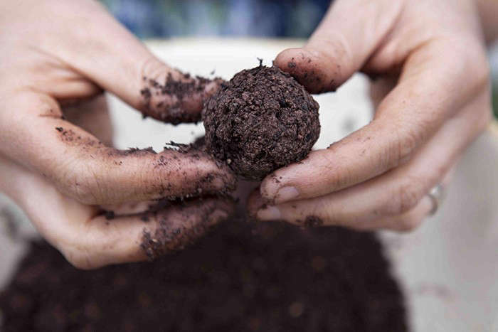 25 INNOVATIVE TRENDS REVOLUTIONIZING SEED BALLS FOR A GREENER TOMORROW
